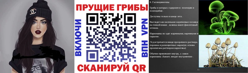 купить наркотик Лермонтов Псилоцибиновые грибы прущие грибы